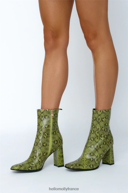 Hello Molly billini acentha bottes matcha serpent chaussure 40222H10060
