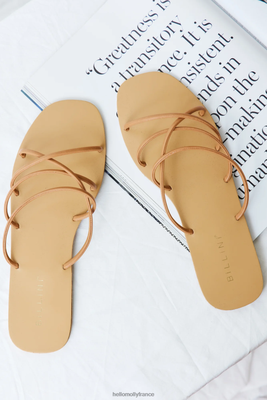 Hello Molly Billini Winola glisse du sucre brun chaussure 40222H10001