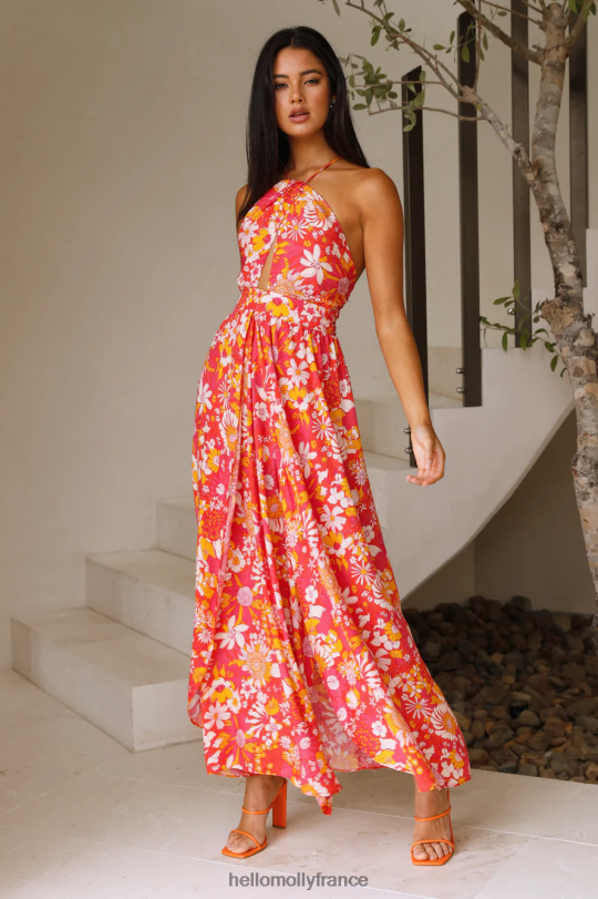 Hello Molly magnifique par une robe longue à fleurs vêtements 40222H6678