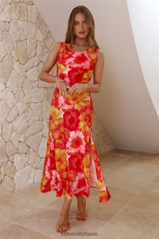 Hello Molly robe longue à fleurs printanières rouge vêtements 40222H5872
